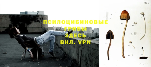 ПСИЛОЦИБИНОВЫЕ ГРИБЫ Балахна