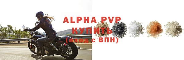 дживик Белокуриха