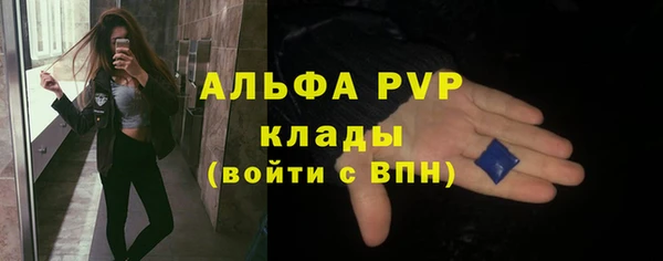 дживик Белокуриха